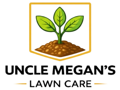 megan brandt no back